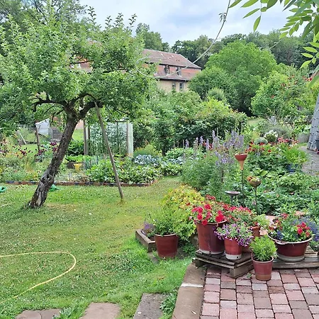 Schlossstrasse 7 Apartment *