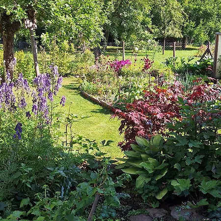 Apartment Schlossstrasse 7 Steinbach (Hessen)