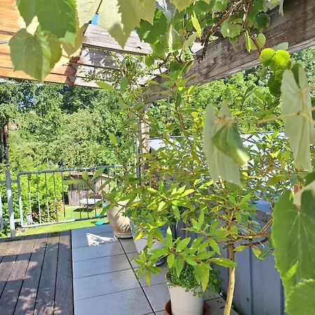 Schlossstrasse 7 Apartment *