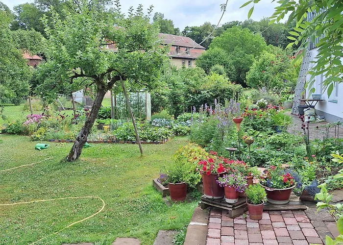 Am Schloss Michelstadt Apartment *