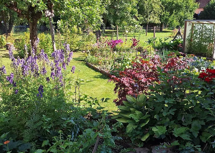 Apartment Am Schloss Michelstadt Steinbach (Hessen)