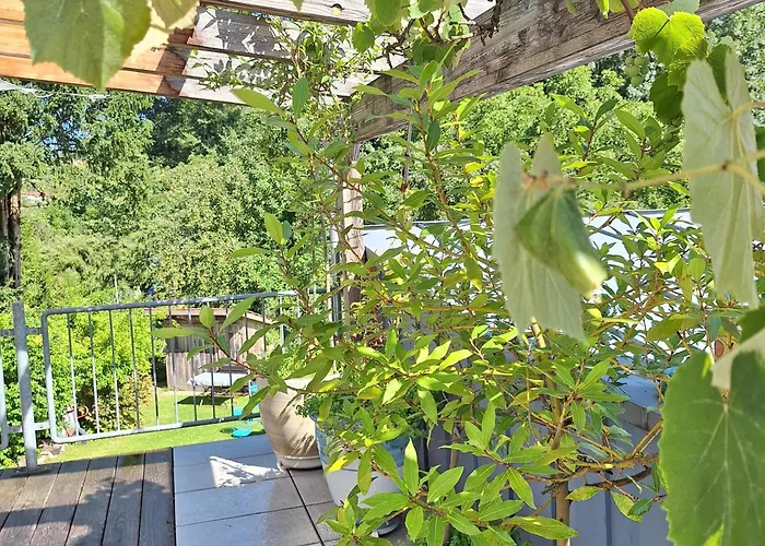 Am Schloss Michelstadt Apartment *